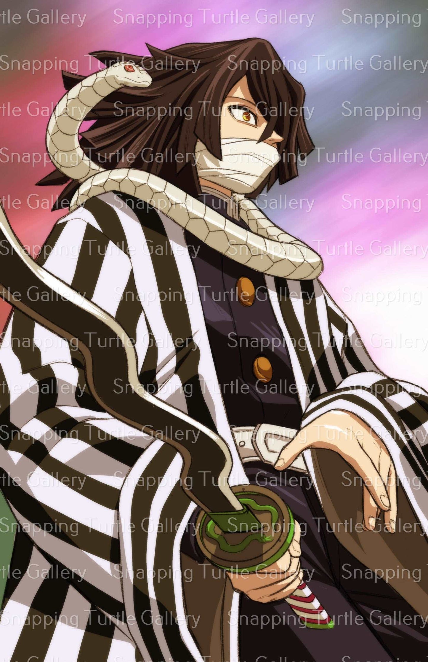 Demon Slayer Snapping Turtle Gallery