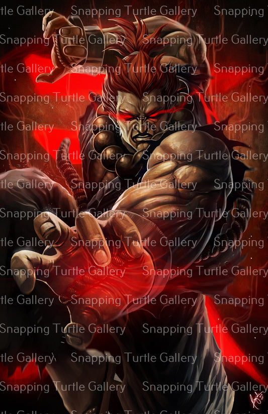STREET FIGHTER AKUMA Snapping Turtle Gallery