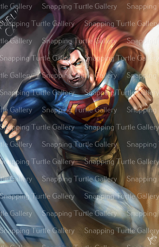 SUPERMAN MEETS DR. WHO Snapping Turtle Gallery