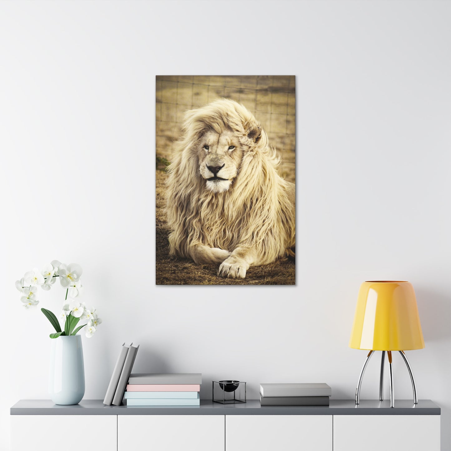 "Lion Laying in a Field Wall Art on canvas, acrylic, and metal – front view of majestic wildlife scene"