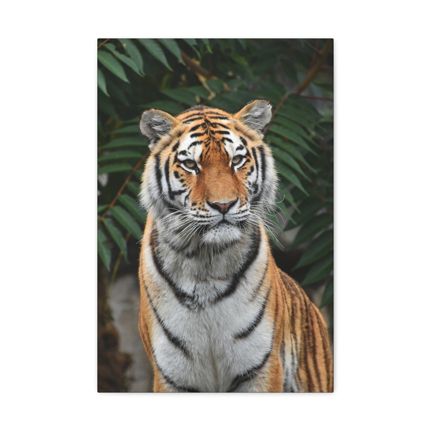 "Regal Stride – Prideful Tiger Wall Art on canvas, acrylic, and metal – front view featuring a tiger in a confident and commanding stance."