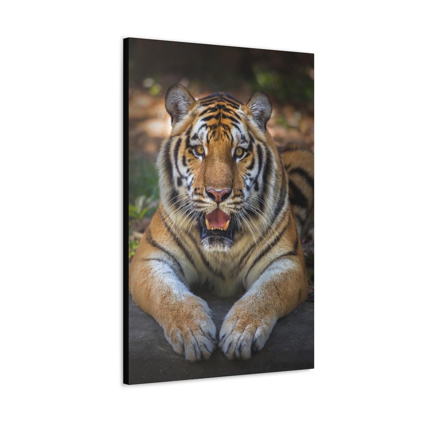 "Wild Resilience – Panting Tiger Wall Art on canvas, acrylic, and metal – front view featuring a fierce tiger mid-pant with intense eyes."