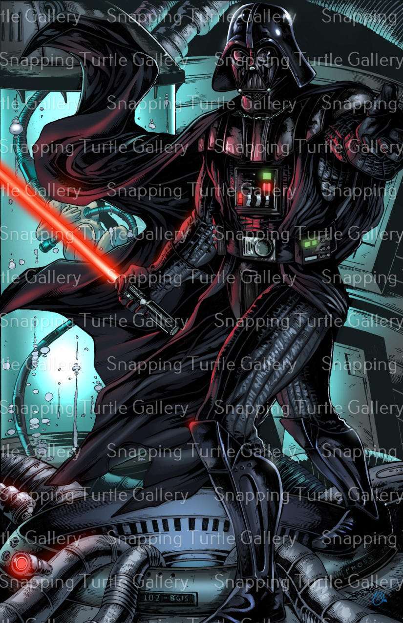 Darth Vader - Snapping Turtle Gallery