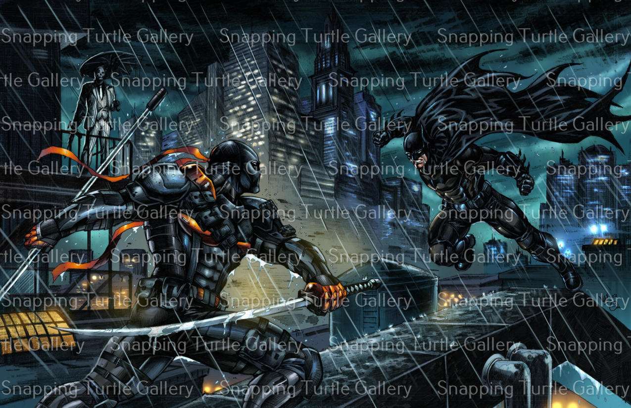 Batman Vs Deathstroke - Snapping Turtle Gallery