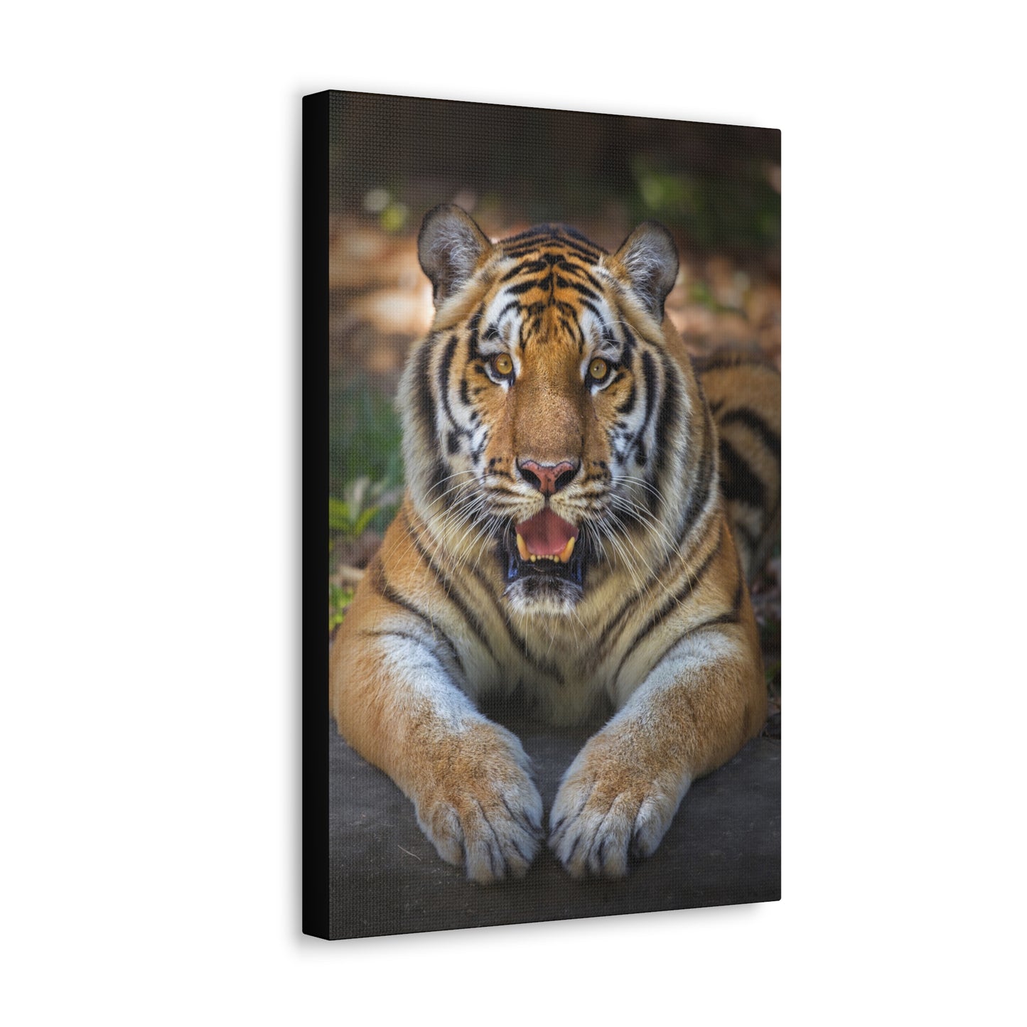 "Wild Resilience – Panting Tiger Wall Art on canvas, acrylic, and metal – front view featuring a fierce tiger mid-pant with intense eyes."