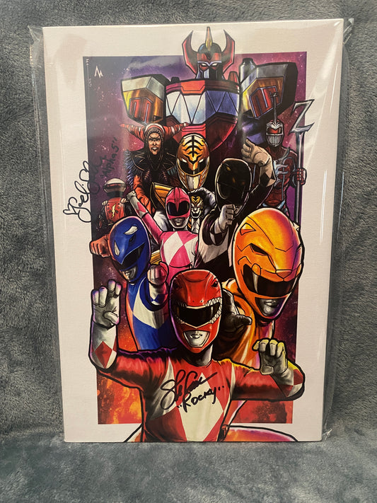 Mighty Morphin Power Rangers 12x18 Metal signed by Steve Cardenas and Sandi Sellner - Snapping Turtle Gallery