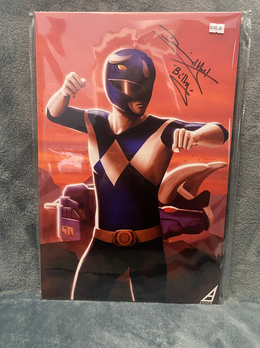 Old School Mighty Morphin Power Rangers Blue Ranger 12x18 Canvas signed by David Yost - Snapping Turtle Gallery