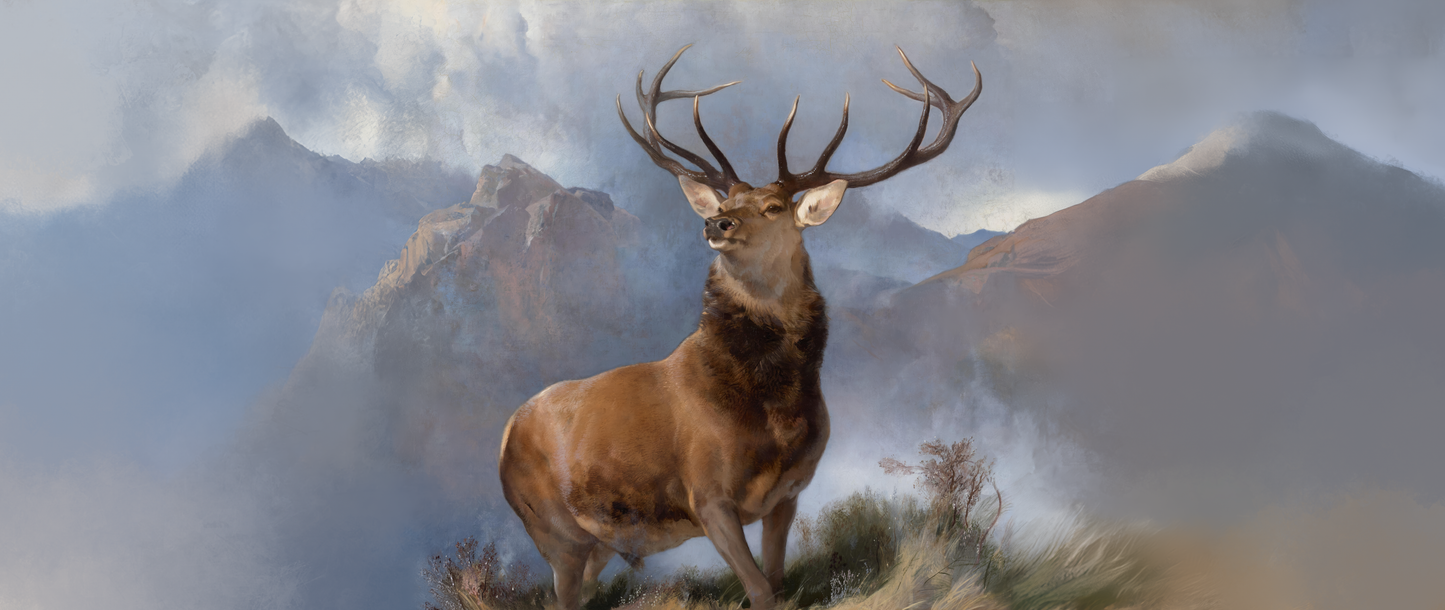 Mountain Monarch wall art in 11x26 canvas print format – available at Snapping Turtle Gallery