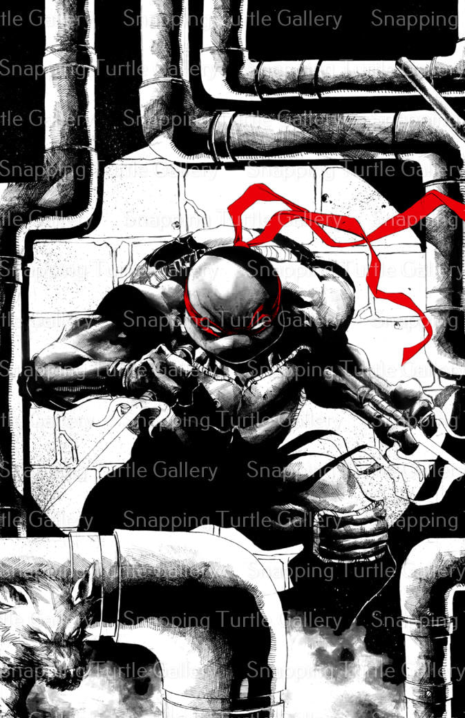 Raphael B&W - Teenage Mutant Ninja Turtles - Snapping Turtle Gallery