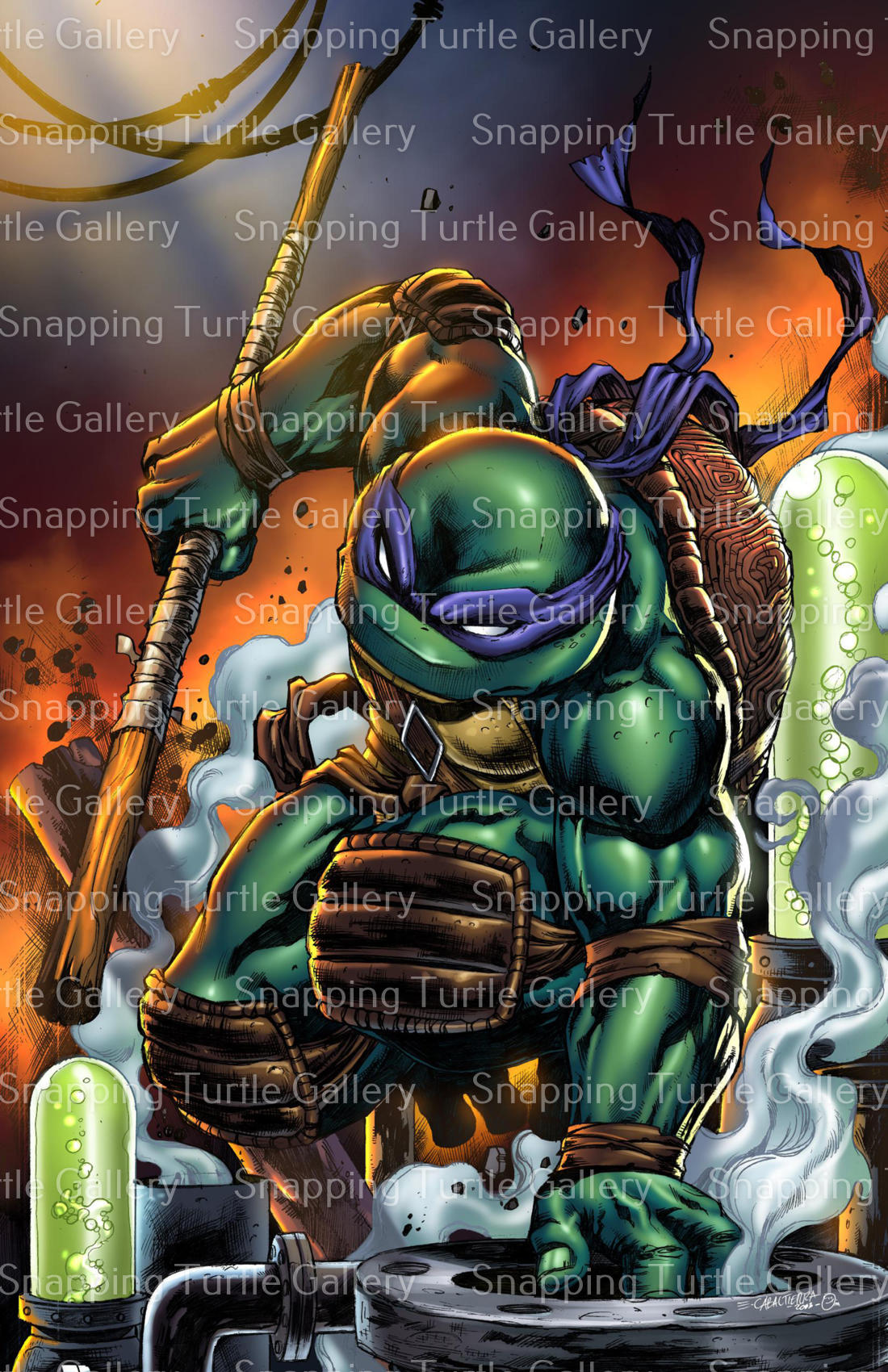 Donatello - Teenage Mutant Ninja Turtles – Snapping Turtle Gallery