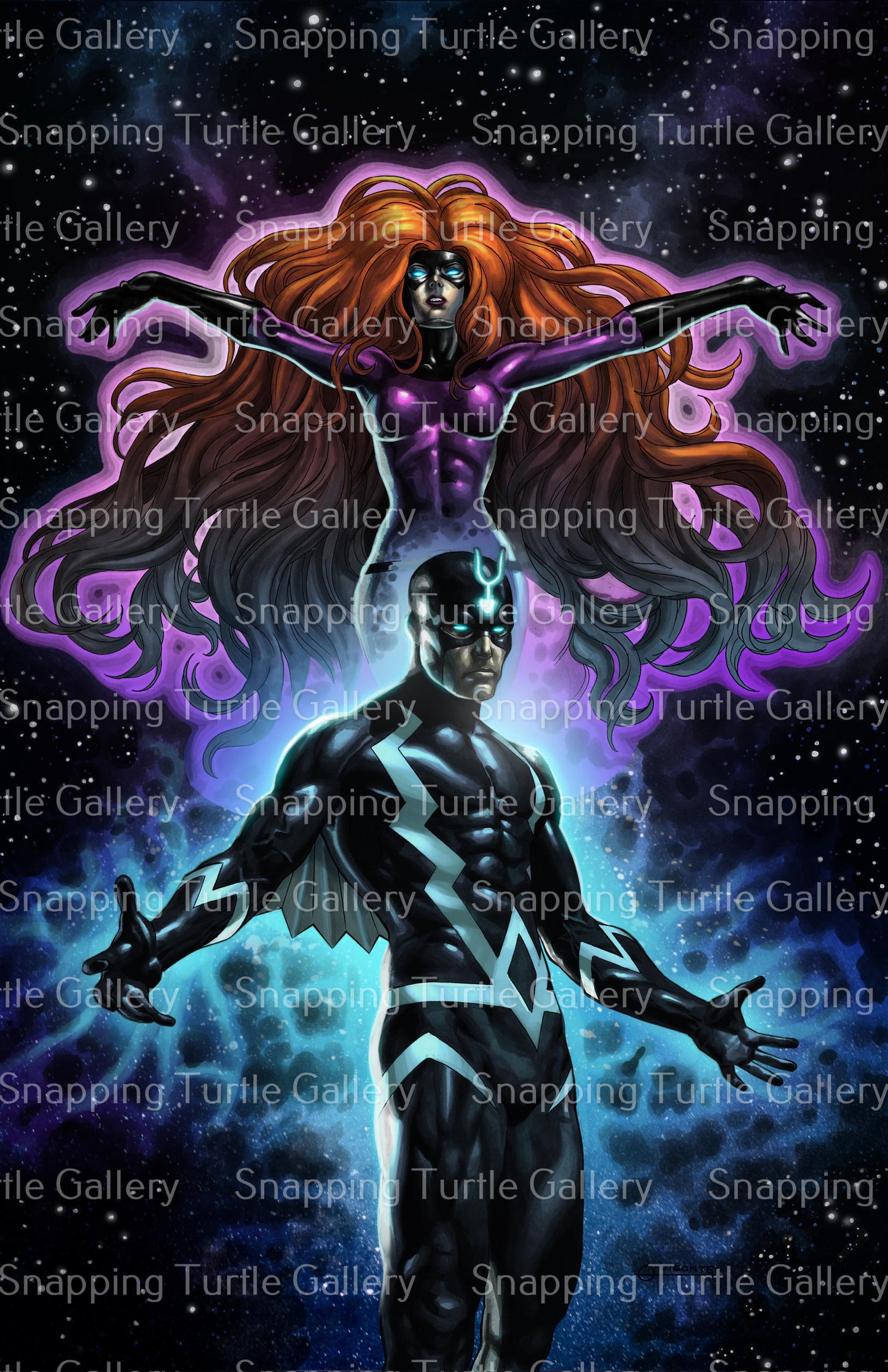 Inhumans Black Bolt and Medusa - Fantastic Four - Snapping Turtle Gallery
