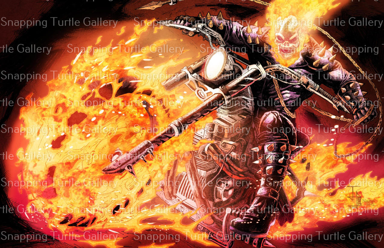 Ghost Rider - Snapping Turtle Gallery