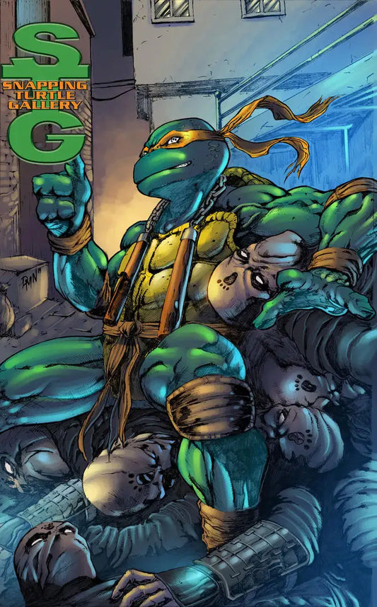 Michelangelo - Teenage Mutant Ninja Turtles - Snapping Turtle Gallery