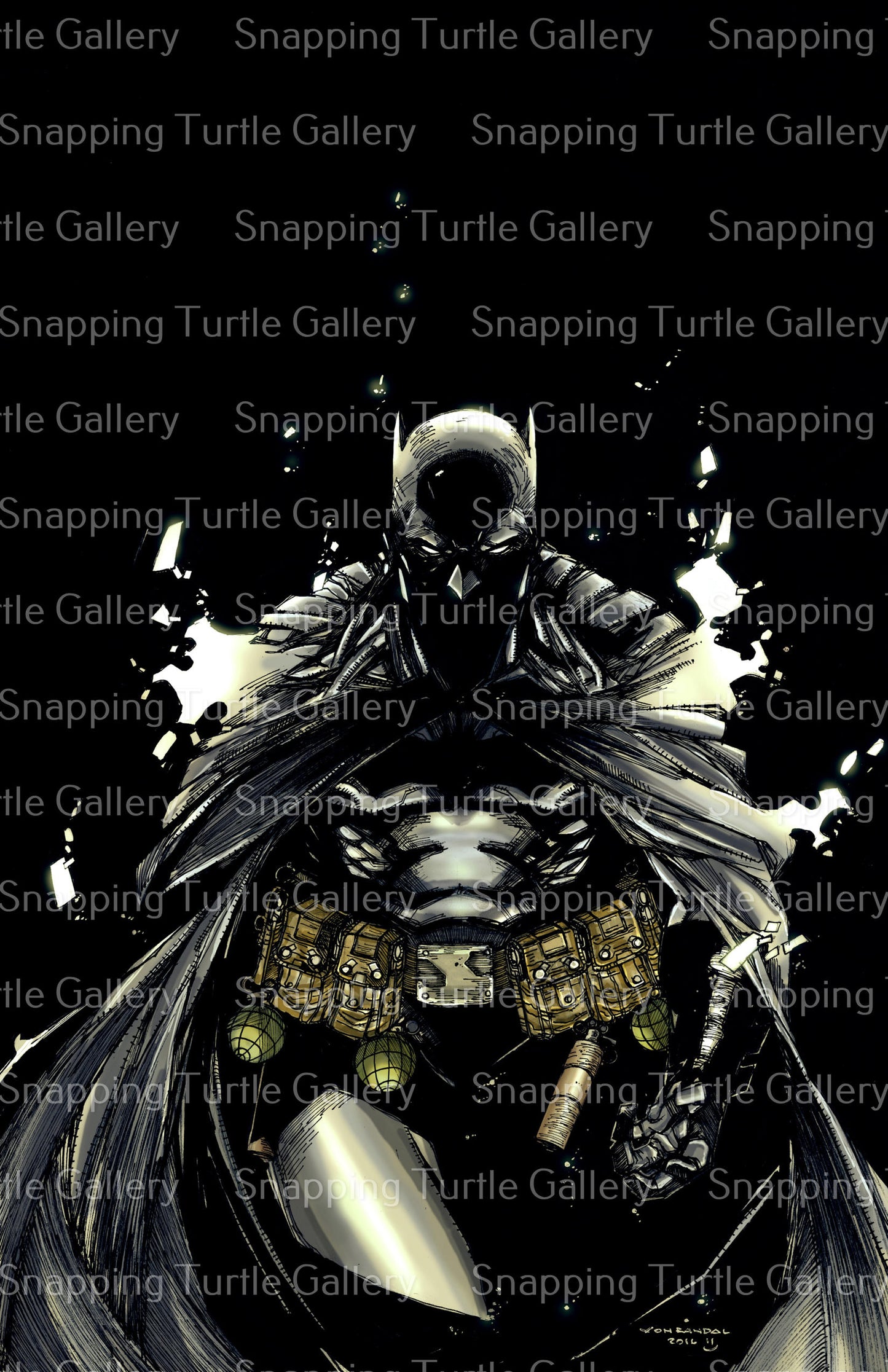Shadow BATMAN - Snapping Turtle Gallery