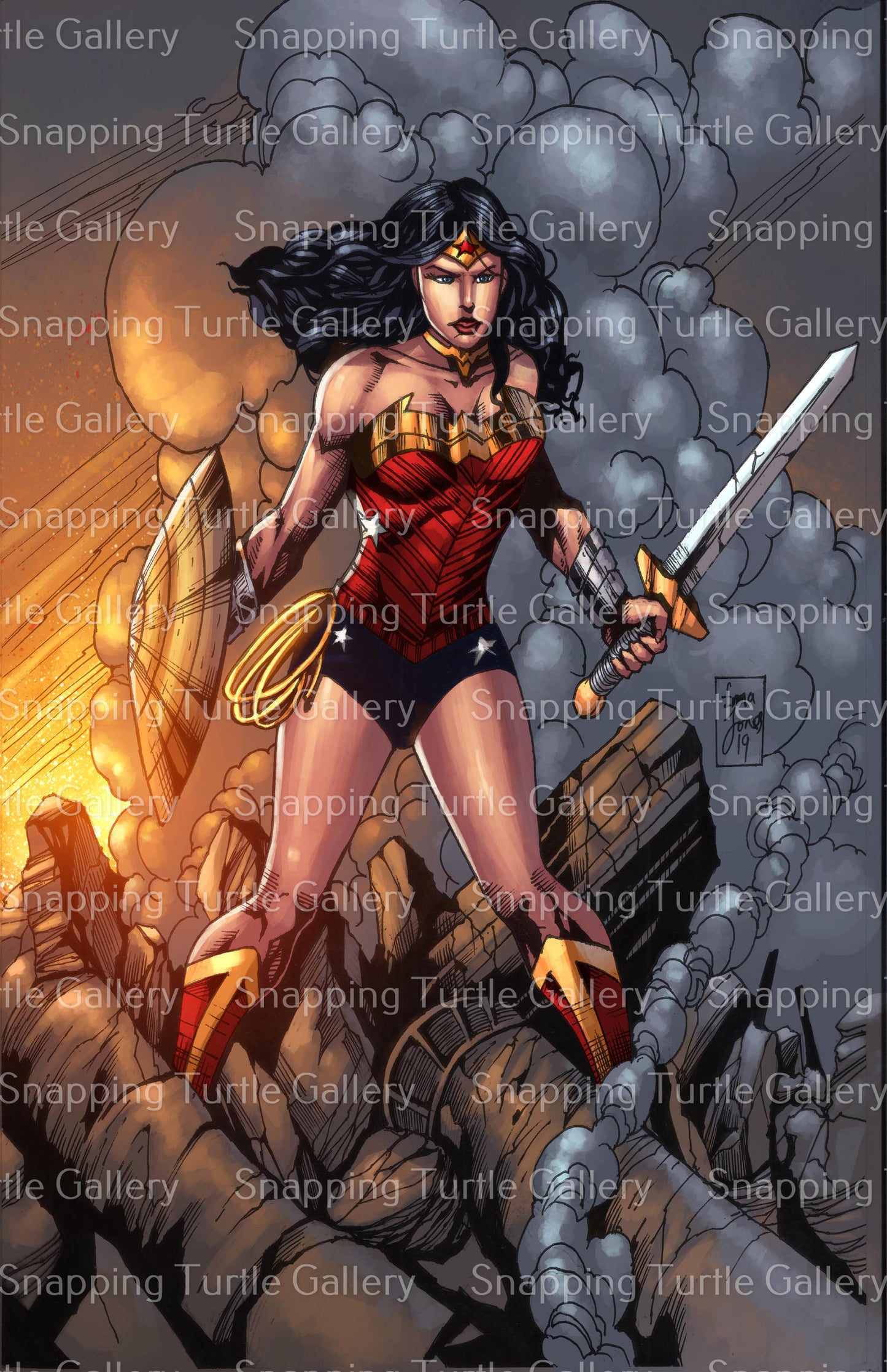 Wonder Woman - Snapping Turtle Gallery