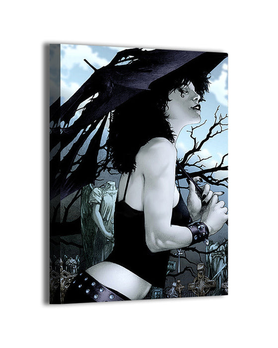 Sandman Canvas wall art collection