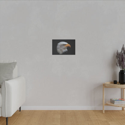 "Bald Eagle Head Wall Art on premium canvas, acrylic, and metal – front view featuring a majestic bald eagle head"

