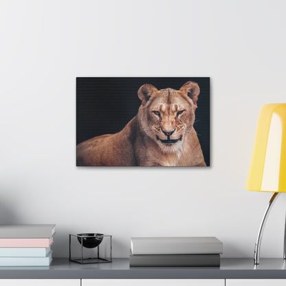 "Queen of the Wild – Female Lion Wall Art on canvas, acrylic, and metal – front view featuring a strong and majestic lioness."

