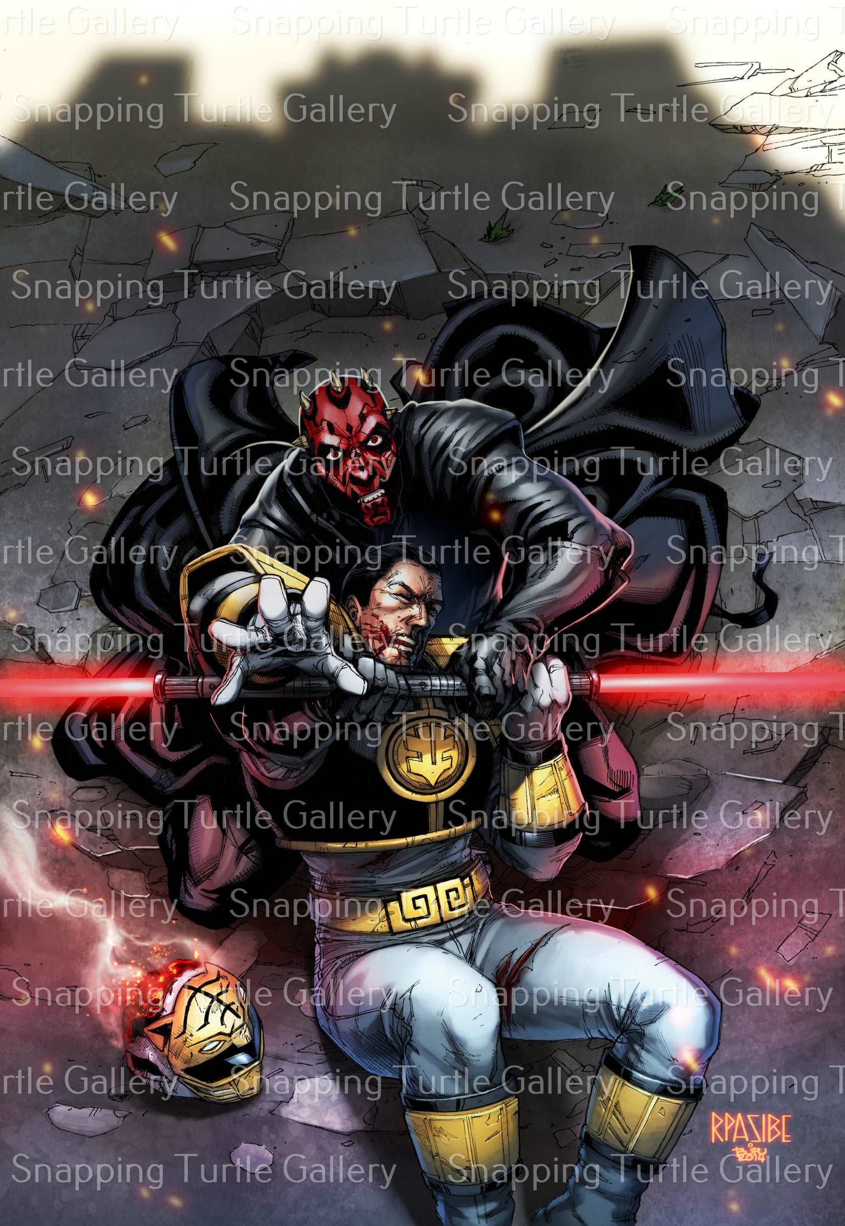 Darth maul vs White ranger_RPASIBE BJR Snapping Turtle Gallery
