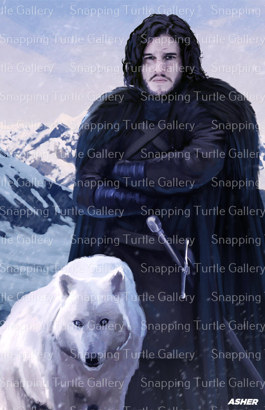 Game of thrones Jon Snow Snapping Turtle Gallery