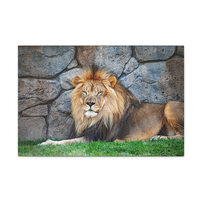 "Serenity of the Wild – Lion Resting in the Grass Wall Art on canvas, acrylic, and metal – front view featuring a calm yet powerful lion in the tall grass."
