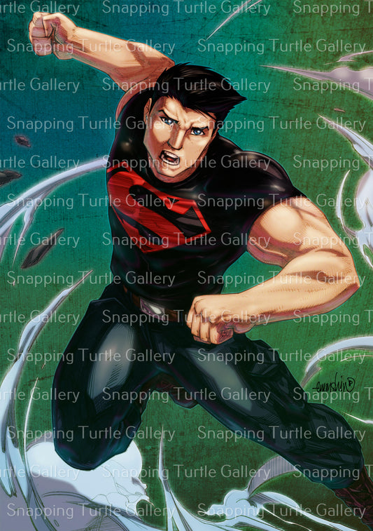 Superboy Snapping Turtle Gallery