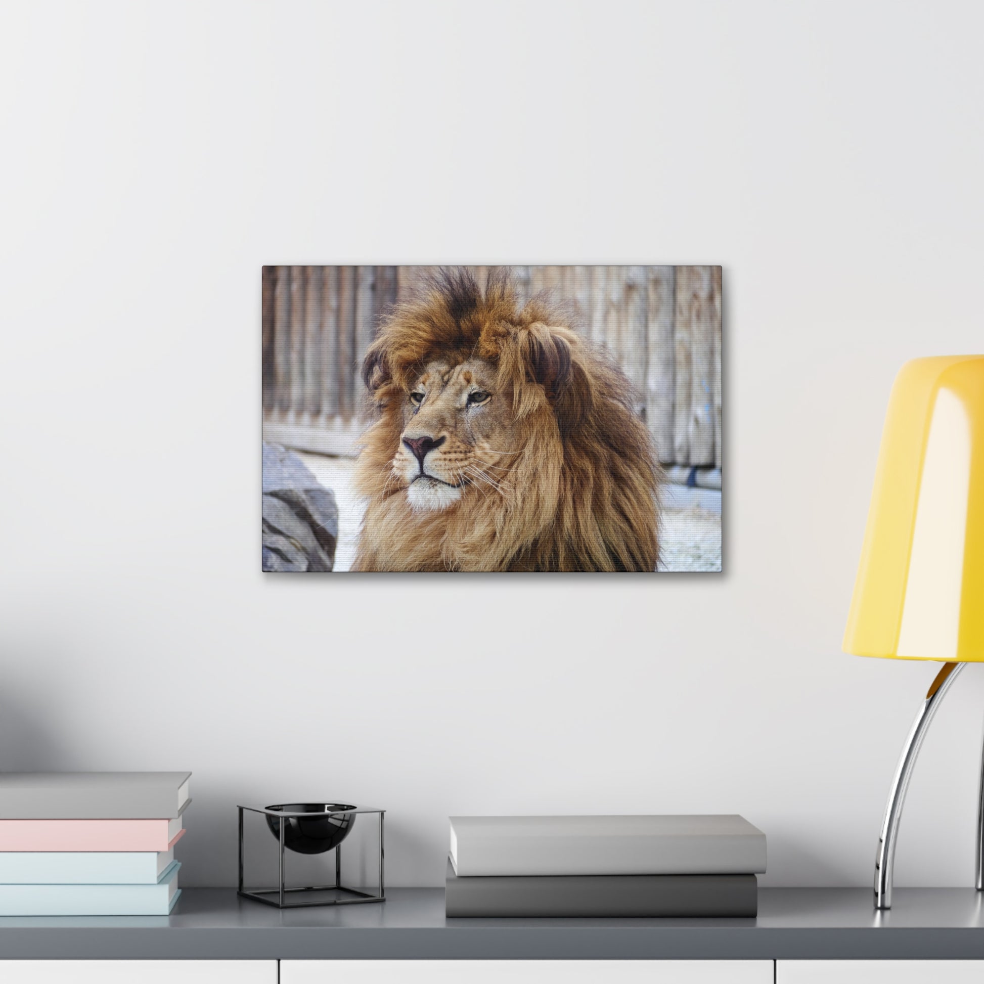 "Regal Rest – Lion Propping His Head Up Wall Art on canvas, acrylic, and metal – front view featuring a calm yet dominant lion resting his head on his paws."
