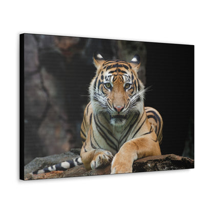 "Rock Throne – Tiger Resting on a Stone Wall Art on canvas, acrylic, and metal – front view featuring a majestic tiger lounging on a rugged rock."
