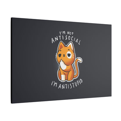 "I'm Not Anti Social, I'm Anti Stupid Wall Art on premium canvas, acrylic, and metal – front view with bold typography"

