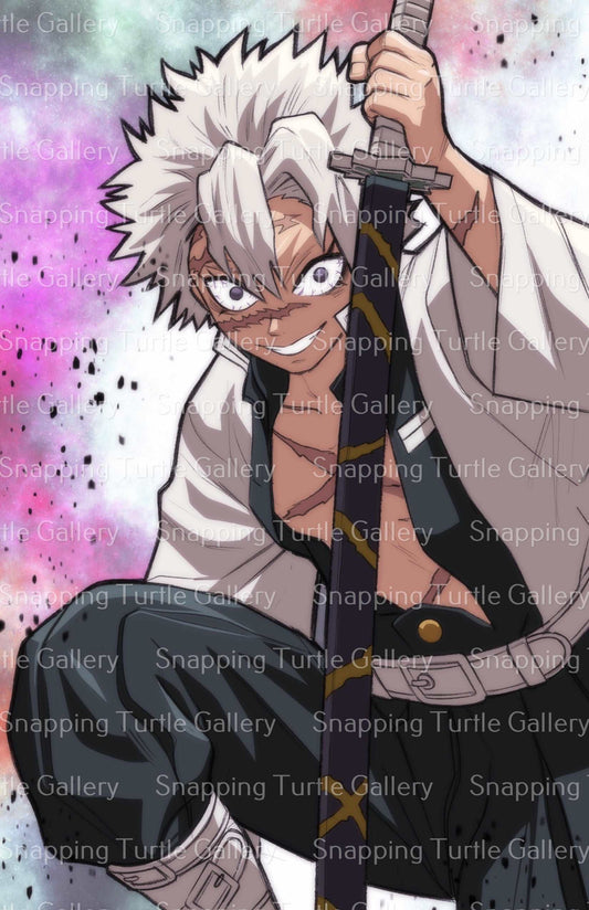 Demon Slayer Snapping Turtle Gallery