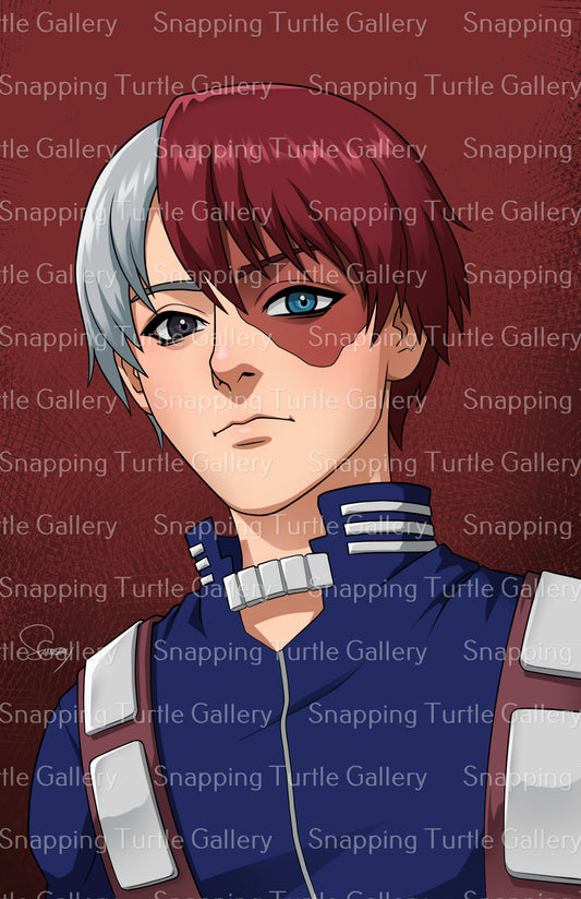 MHA Todoroki Snapping Turtle Gallery