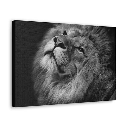 Monochrome Majesty – Black and White Lion Wall Art on canvas, acrylic, and metal – front view featuring a high-contrast lion portrait in grayscale.