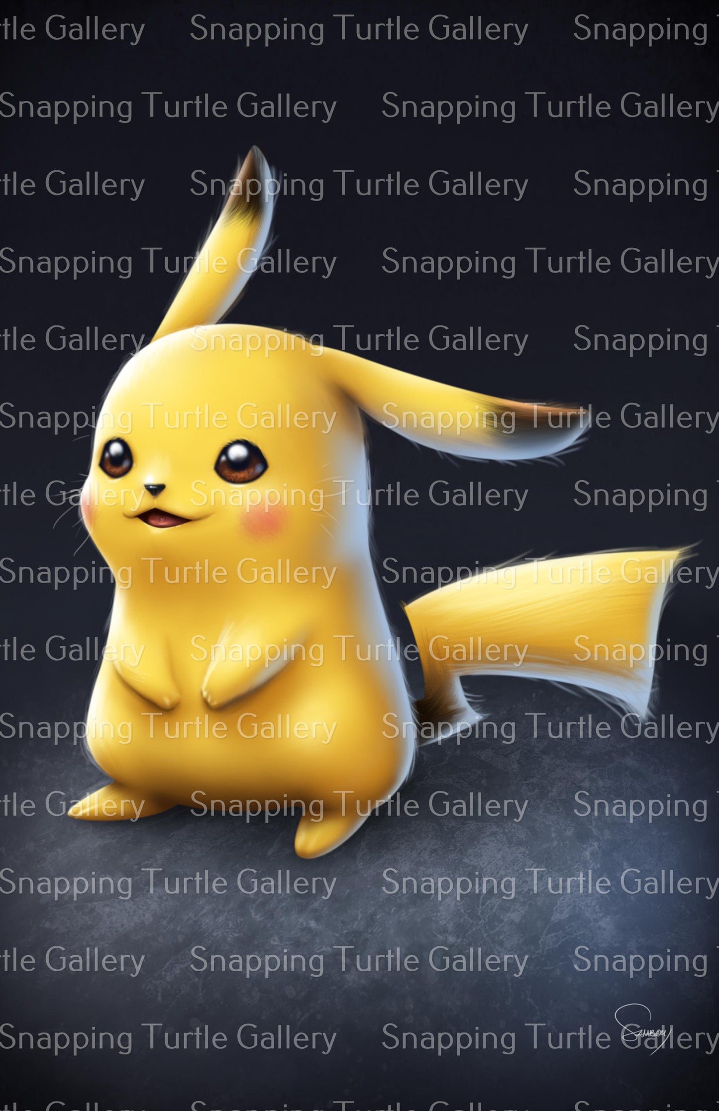 POKEMON PIKACHU Snapping Turtle Gallery