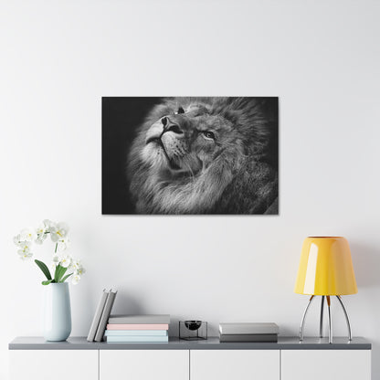 Monochrome Majesty – Black and White Lion Wall Art on canvas, acrylic, and metal – front view featuring a high-contrast lion portrait in grayscale.