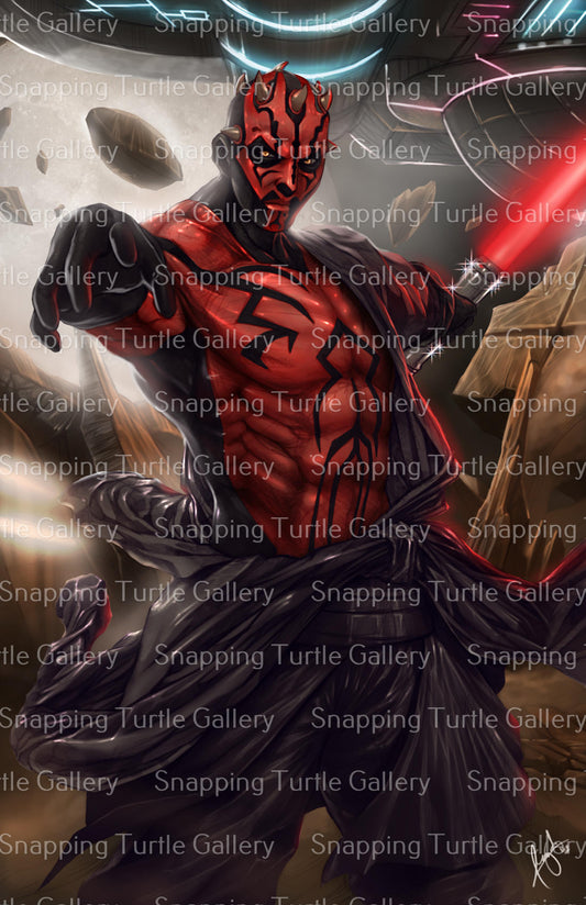 STAR WARS DARTH MAUL B Snapping Turtle Gallery