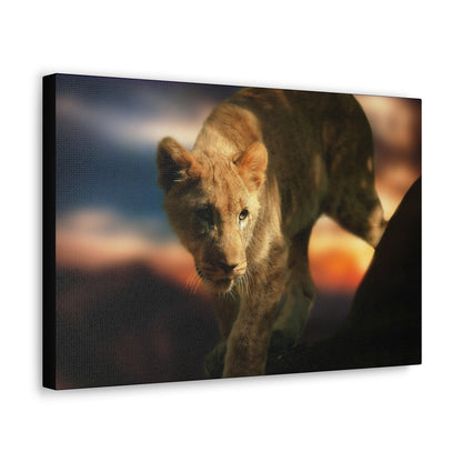 Young Majesty – Regal Young Lion Wall Art on canvas, acrylic, and metal – front view featuring a young lion with a confident and noble expression.