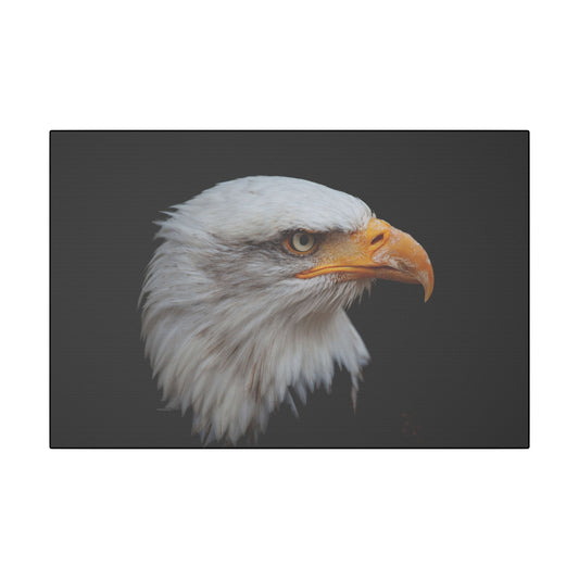 "Bald Eagle Head Wall Art on premium canvas, acrylic, and metal – front view featuring a majestic bald eagle head"
