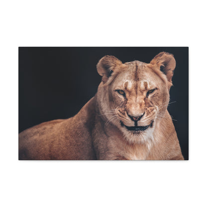 "Queen of the Wild – Female Lion Wall Art on canvas, acrylic, and metal – front view featuring a strong and majestic lioness."
