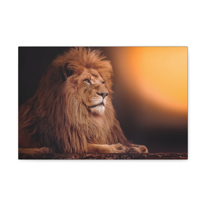 "Golden Majesty – Lion Resting with Sunlit Background Wall Art on canvas, acrylic, and metal – front view featuring a powerful lion against a glowing sun."
