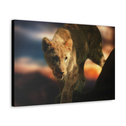 Young Majesty – Regal Young Lion Wall Art on canvas, acrylic, and metal – front view featuring a young lion with a confident and noble expression.