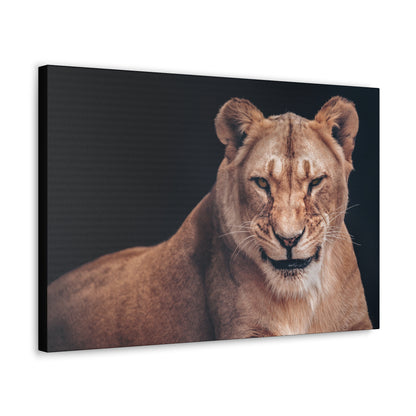 "Queen of the Wild – Female Lion Wall Art on canvas, acrylic, and metal – front view featuring a strong and majestic lioness."
