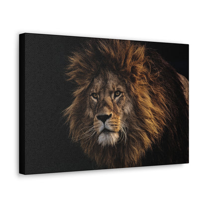 "Majestic King – Big Lion Wall Art on canvas, acrylic, and metal – front view featuring a powerful and detailed lion portrait."
