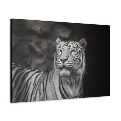 Embrace the mystique of Ghost Stripes, a black and white white tiger wall print. Available on canvas, acrylic & metal. Shop now at STG Collection!


