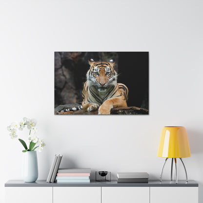 "Rock Throne – Tiger Resting on a Stone Wall Art on canvas, acrylic, and metal – front view featuring a majestic tiger lounging on a rugged rock."

