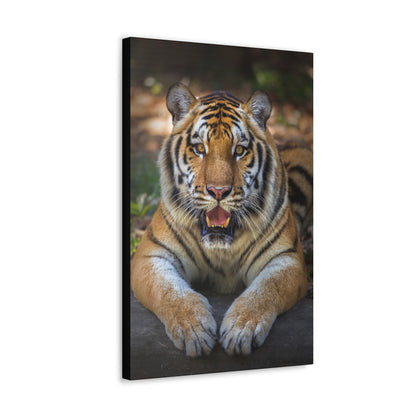 "Wild Resilience – Panting Tiger Wall Art on canvas, acrylic, and metal – front view featuring a fierce tiger mid-pant with intense eyes."
