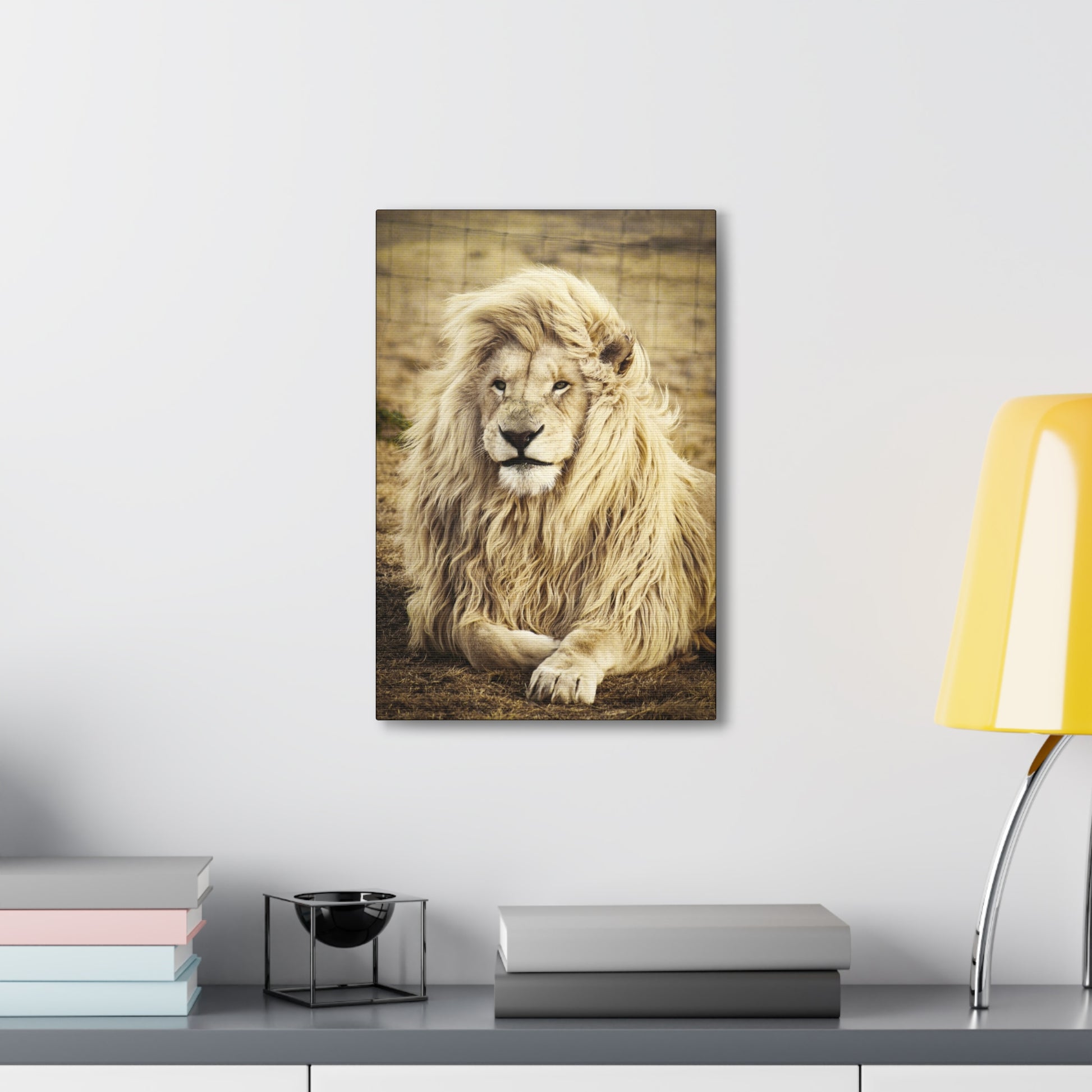 "Lion Laying in a Field Wall Art on canvas, acrylic, and metal – front view of majestic wildlife scene"

