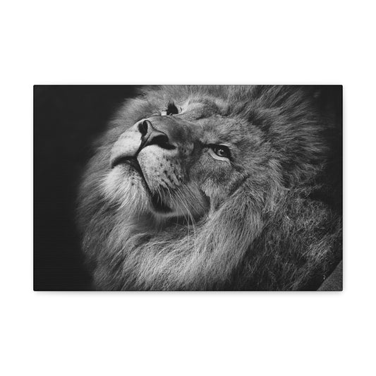 Monochrome Majesty – Black and White Lion Wall Art on canvas, acrylic, and metal – front view featuring a high-contrast lion portrait in grayscale.