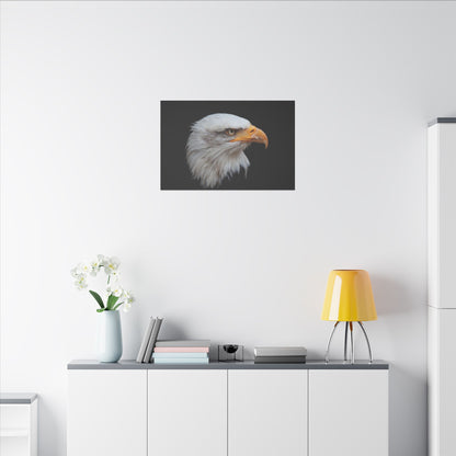 "Bald Eagle Head Wall Art on premium canvas, acrylic, and metal – front view featuring a majestic bald eagle head"

