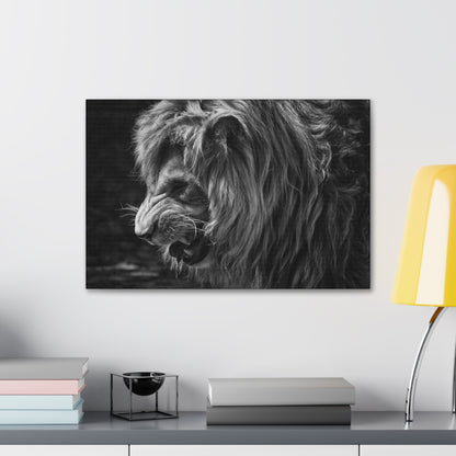 "Fierce Dominion – Snarling Lion Wall Art on canvas, acrylic, and metal – front view featuring a roaring lion with intense eyes and sharp fangs."
