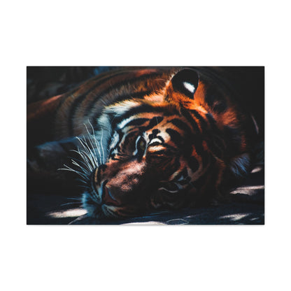 Resting Power – Tiger Laying Down Wall Art on canvas, acrylic, and metal – front view featuring a calm yet powerful tiger in repose.
